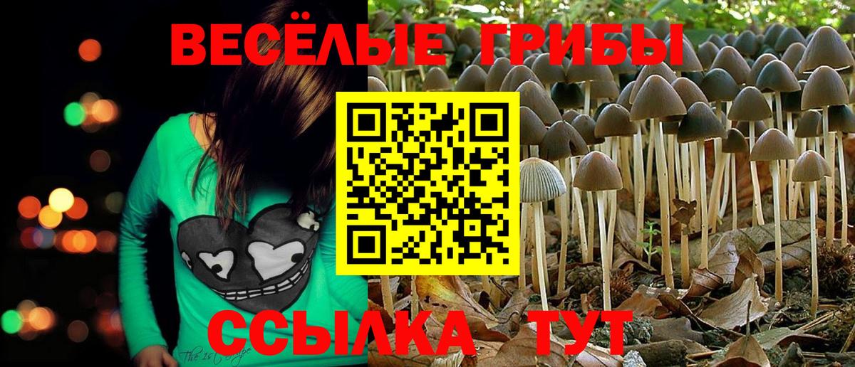 Галлюциногенные грибы мухоморы Краснознаменск